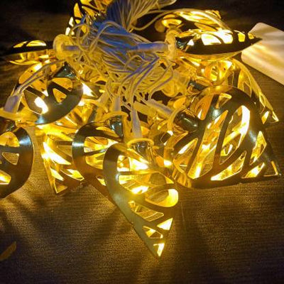 NIYA - LIGHT UP LIFE LED Gold Rice Lights (pack of 2)